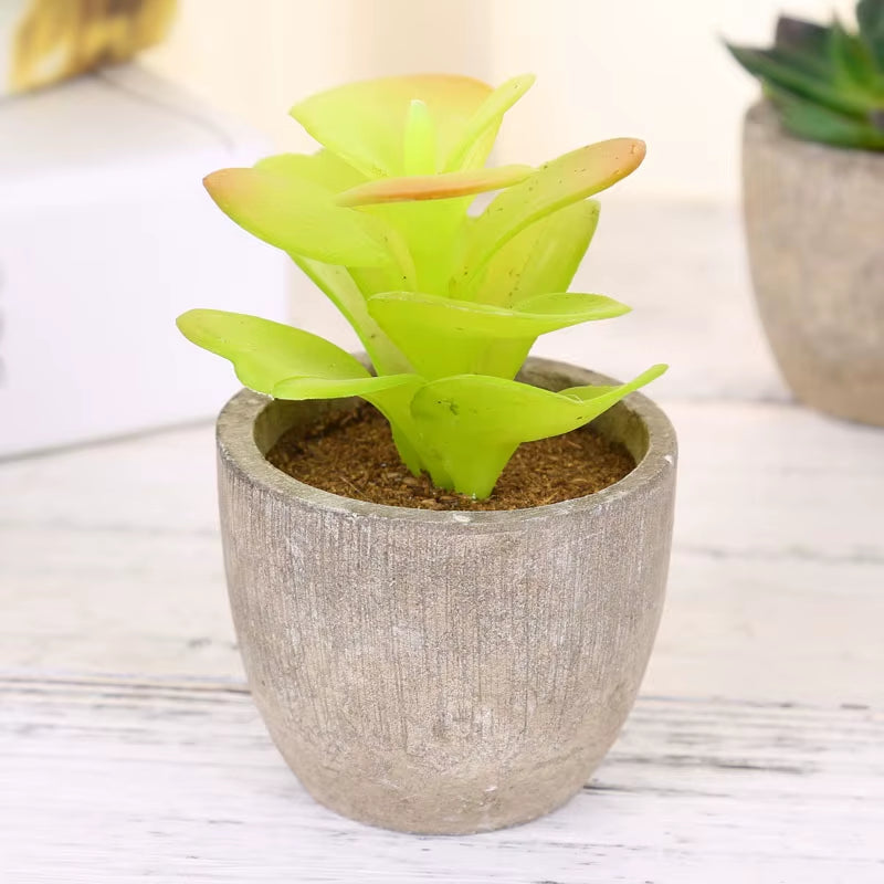 Plastic Mini Artificial Bonsai Fake Decorative Ball Plants Simulation Mini Plants Artificial Succulent Plants for Home Decor