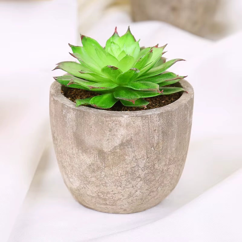 Plastic Mini Artificial Bonsai Fake Decorative Ball Plants Simulation Mini Plants Artificial Succulent Plants for Home Decor