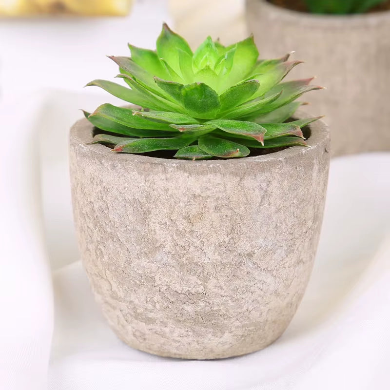 Plastic Mini Artificial Bonsai Fake Decorative Ball Plants Simulation Mini Plants Artificial Succulent Plants for Home Decor