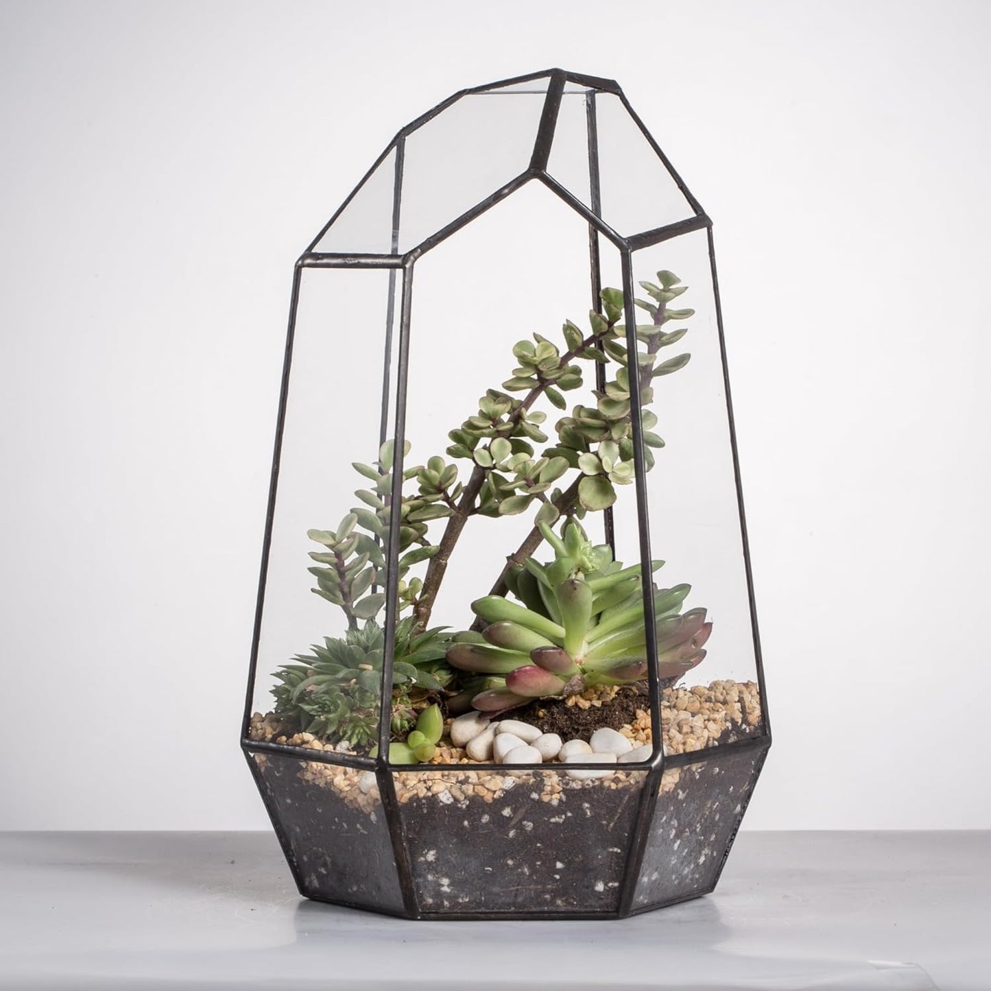 Geometric Glass Terrarium Planter for Succulent, Small Cacti - 6.5" X 5.7" X 9.8" Black Irregular Opened Container Pot, Indoor Home Garden Office Tabletop Decor (No Plants, No Door)