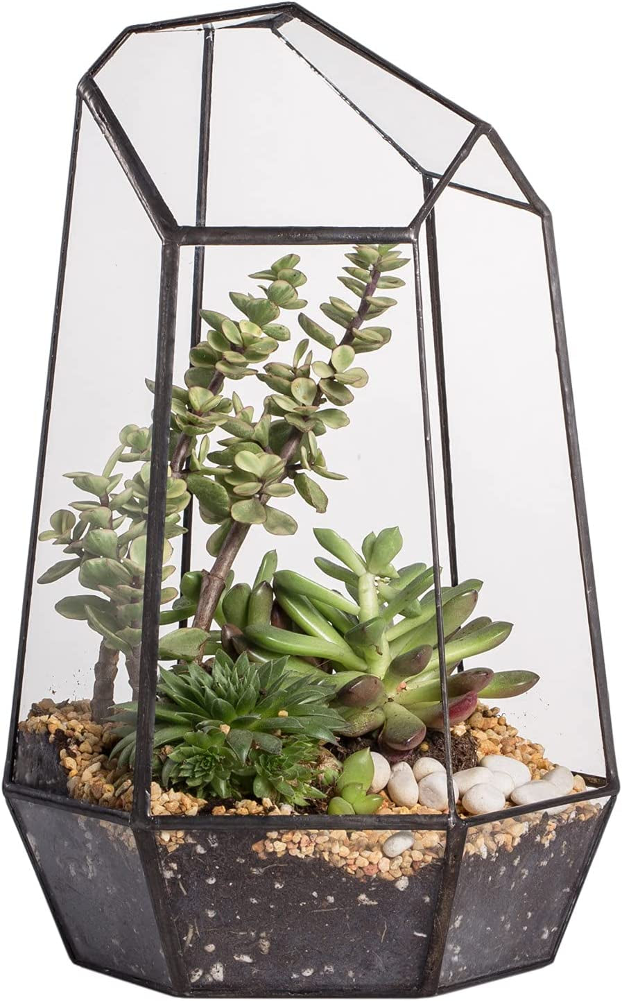 Geometric Glass Terrarium Planter for Succulent, Small Cacti - 6.5" X 5.7" X 9.8" Black Irregular Opened Container Pot, Indoor Home Garden Office Tabletop Decor (No Plants, No Door)