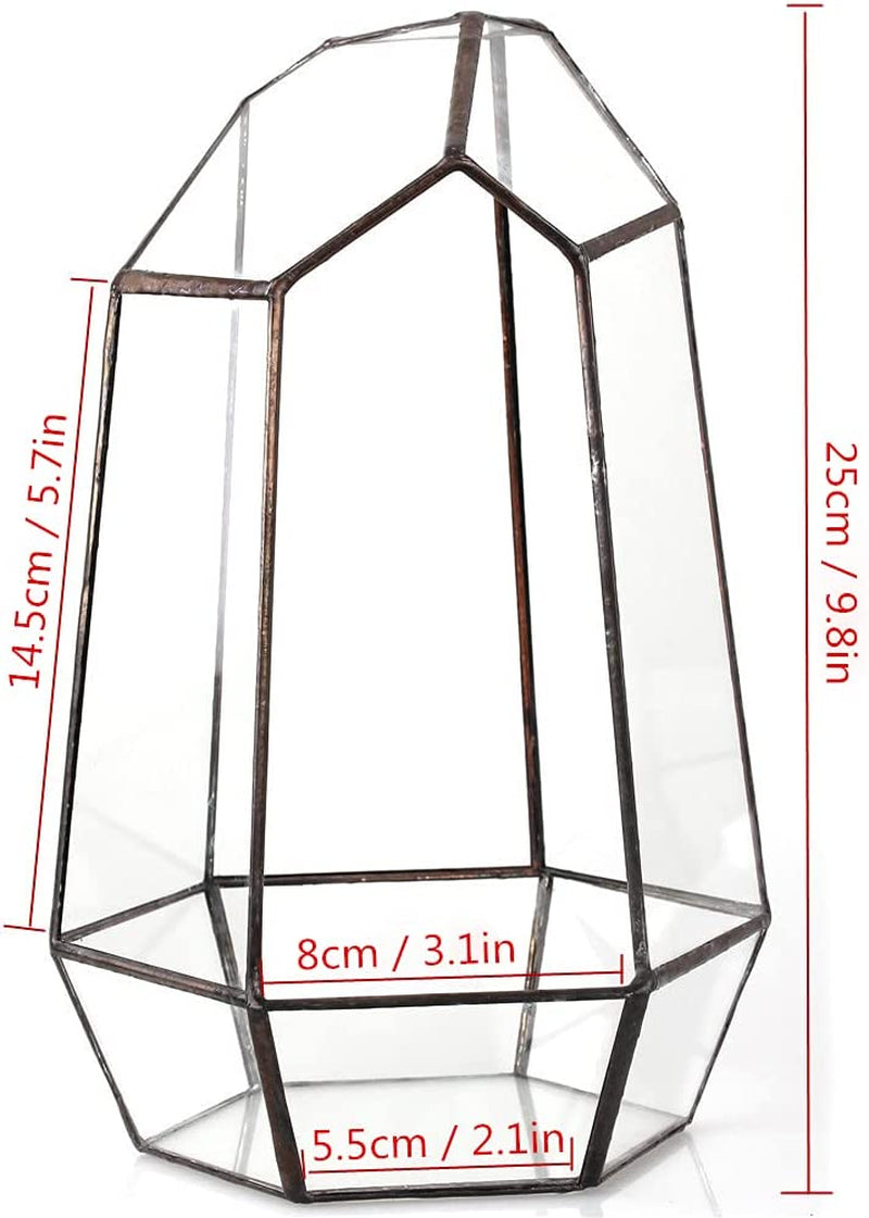 Geometric Glass Terrarium Planter for Succulent, Small Cacti - 6.5" X 5.7" X 9.8" Black Irregular Opened Container Pot, Indoor Home Garden Office Tabletop Decor (No Plants, No Door)