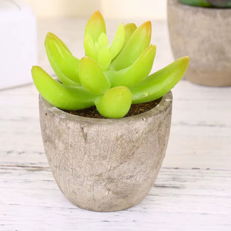 Plastic Mini Artificial Bonsai Fake Decorative Ball Plants Simulation Mini Plants Artificial Succulent Plants for Home Decor