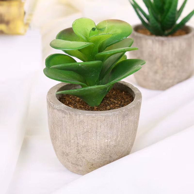 Plastic Mini Artificial Bonsai Fake Decorative Ball Plants Simulation Mini Plants Artificial Succulent Plants for Home Decor